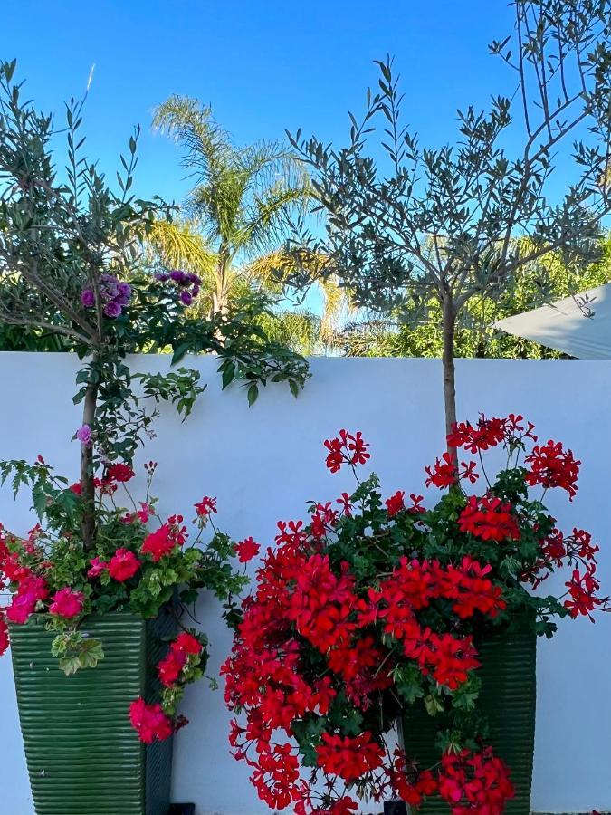 Palm View Guesthouse, Adults Only Praia Da Luz Exterior foto